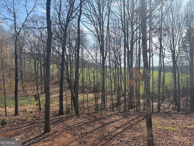 643 Old Ridge Road, Demorest, GA 30535