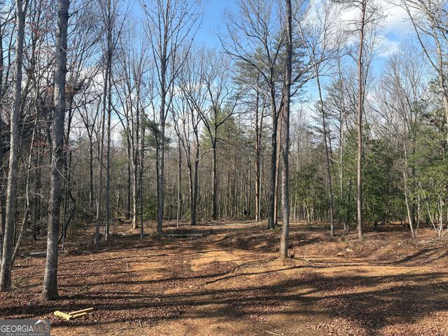 643 Old Ridge Road, Demorest, GA 30535