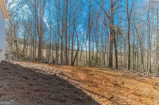 643 Old Ridge Road, Demorest, GA 30535