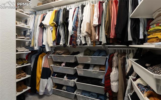 4031 Samaritan Loop, Colorado Springs, CO 80916