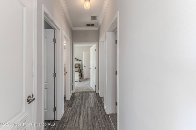 3356 Oleander Drive, Hernando Beach, FL 34607