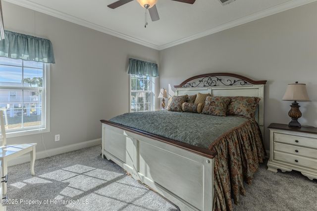 3356 Oleander Drive, Hernando Beach, FL 34607