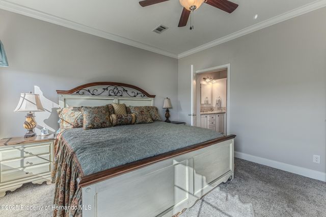 3356 Oleander Drive, Hernando Beach, FL 34607