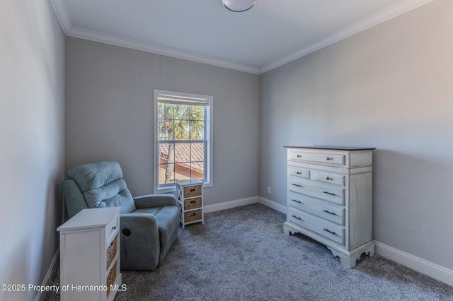 3356 Oleander Drive, Hernando Beach, FL 34607