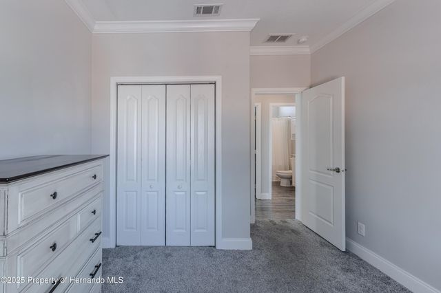 3356 Oleander Drive, Hernando Beach, FL 34607