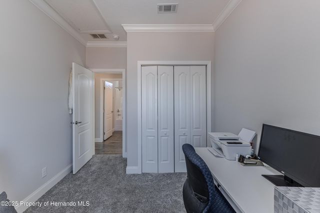 3356 Oleander Drive, Hernando Beach, FL 34607