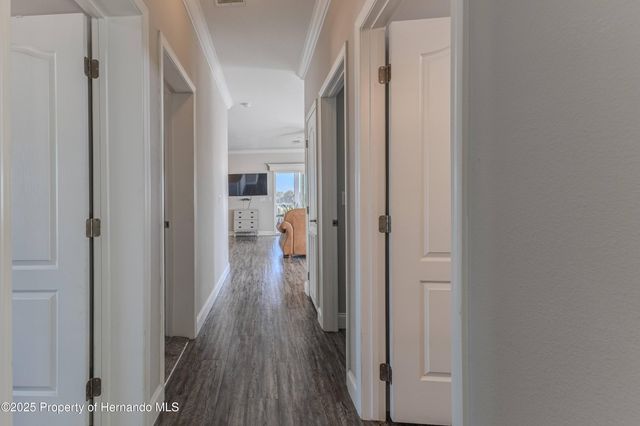 3356 Oleander Drive, Hernando Beach, FL 34607