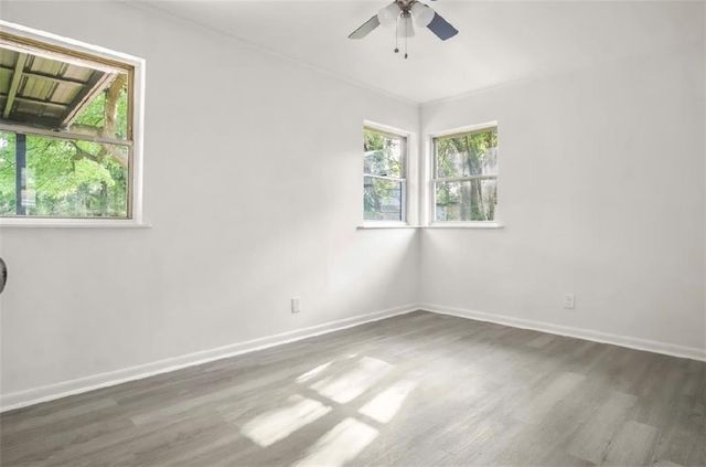 5206 LANNY Street, Alexandria, LA 71303