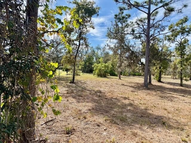 31581 CREEK TRAIL, Punta Gorda, FL 33982