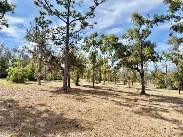 31581 CREEK TRAIL, Punta Gorda, FL 33982