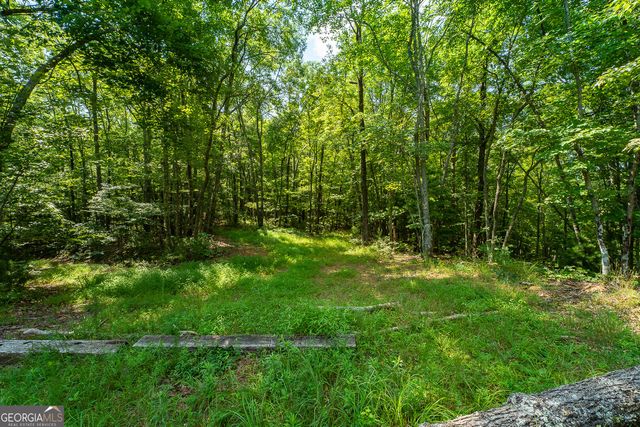 TR 1&2 Blue Arrow Lane, Mineral Bluff, GA 30559