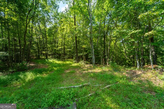 TR 1&2 Blue Arrow Lane, Mineral Bluff, GA 30559