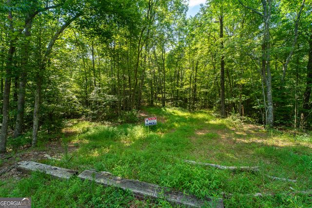 TR 1&2 Blue Arrow Lane, Mineral Bluff, GA 30559