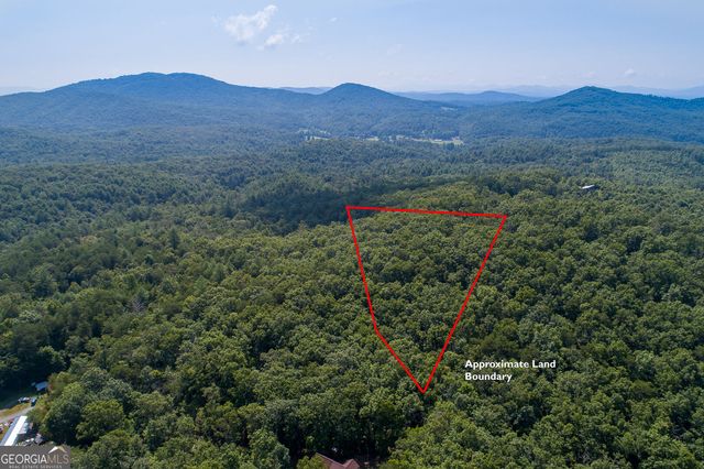 TR 1&2 Blue Arrow Lane, Mineral Bluff, GA 30559