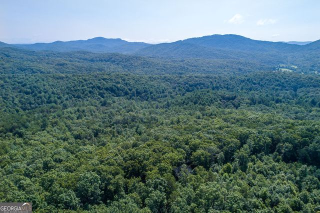 TR 1&2 Blue Arrow Lane, Mineral Bluff, GA 30559