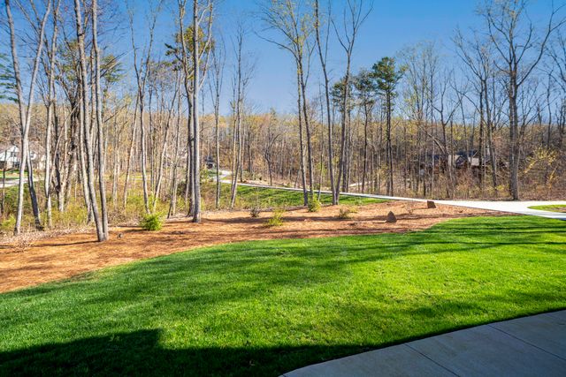1375 Wintergreen Lane, Signal Mountain, TN 37377