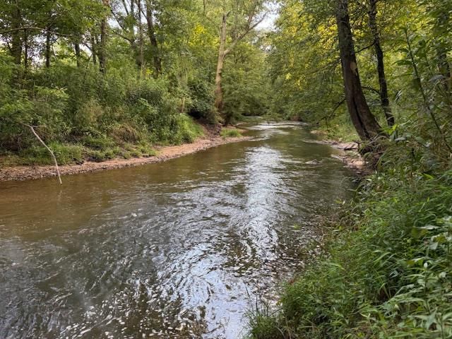 96 West Road, Warne, NC 28909