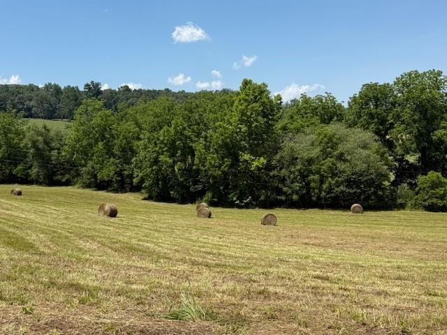 96 West Road, Warne, NC 28909