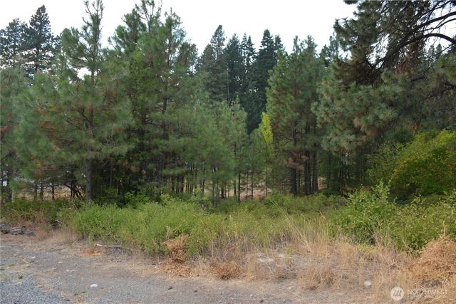 203 E Nevada Avenue, Roslyn, WA 98941