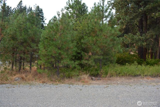 203 E Nevada Avenue, Roslyn, WA 98941