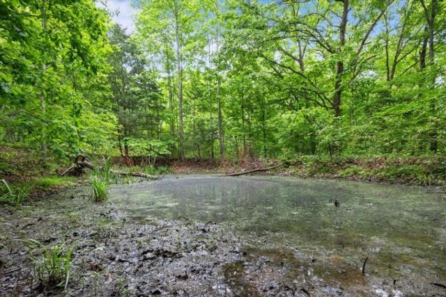 5610 Hargrove Rd, Franklin, TN 37064