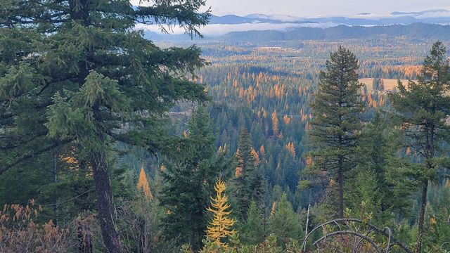 NKN Cosmos - Lots 23, 24, 27 Ln, Newport, WA 99156