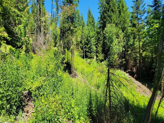 NKN Cosmos - Lots 23, 24, 27 Ln, Newport, WA 99156