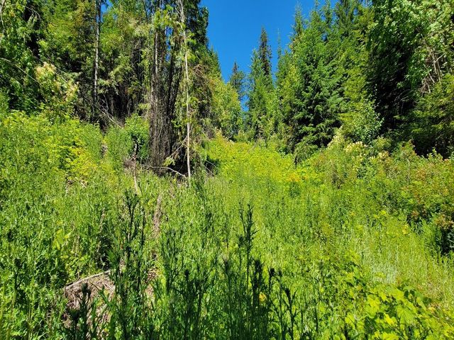 NKN Cosmos - Lots 23, 24, 27 Ln, Newport, WA 99156