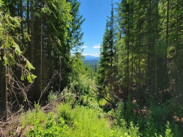 NKN Cosmos - Lots 23, 24, 27 Ln, Newport, WA 99156