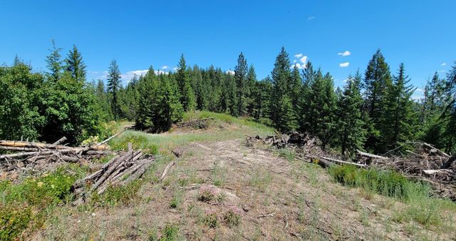 NKN Cosmos - Lots 23, 24, 27 Ln, Newport, WA 99156