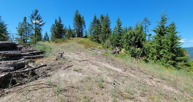 NKN Cosmos - Lots 23, 24, 27 Ln, Newport, WA 99156