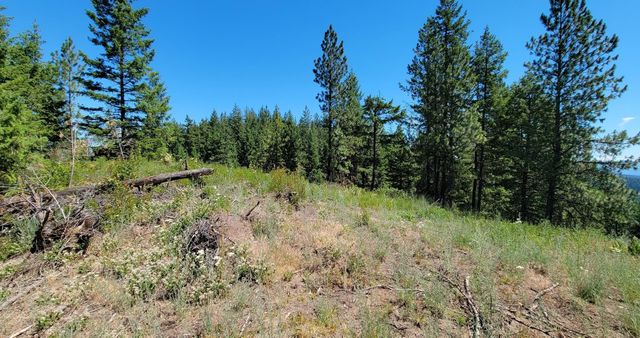 NKN Cosmos - Lots 23, 24, 27 Ln, Newport, WA 99156