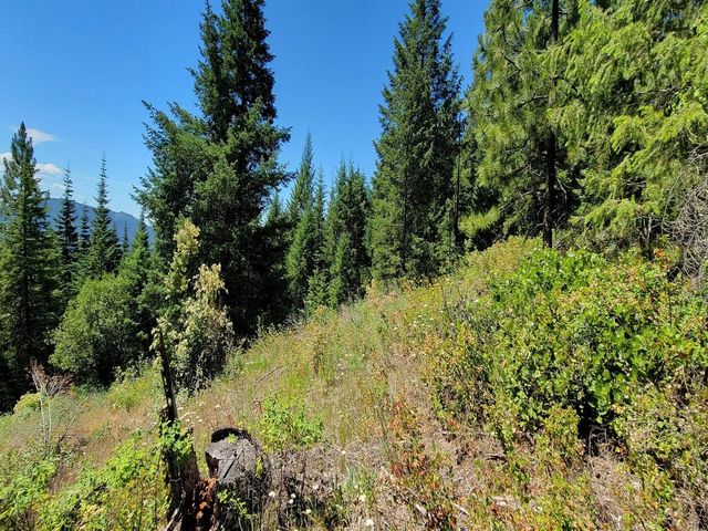 NKN Cosmos - Lots 23, 24, 27 Ln, Newport, WA 99156