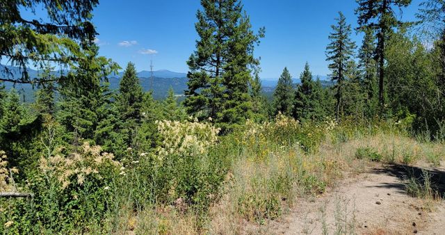 NKN Cosmos - Lots 23, 24, 27 Ln, Newport, WA 99156