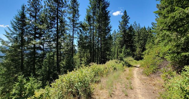 NKN Cosmos - Lots 23, 24, 27 Ln, Newport, WA 99156