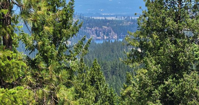 NKN Cosmos - Lots 23, 24, 27 Ln, Newport, WA 99156