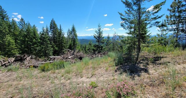 NKN Cosmos - Lots 23, 24, 27 Ln, Newport, WA 99156