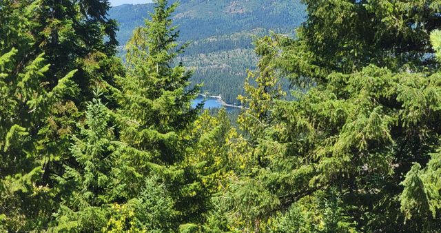 NKN Cosmos - Lots 23, 24, 27 Ln, Newport, WA 99156