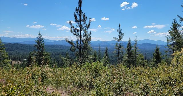 NKN Cosmos - Lots 23, 24, 27 Ln, Newport, WA 99156