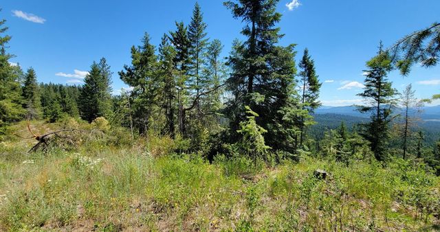 NKN Cosmos - Lots 23, 24, 27 Ln, Newport, WA 99156