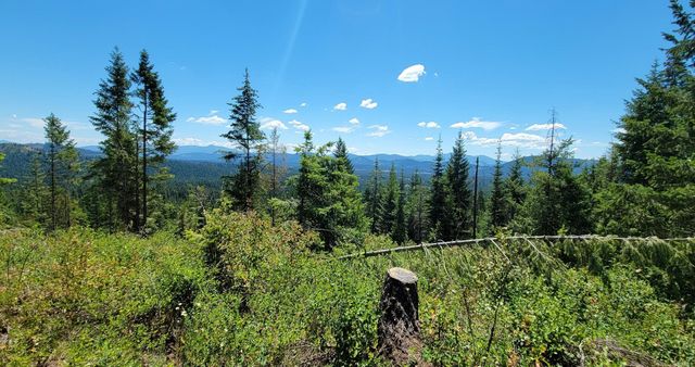 NKN Cosmos - Lots 23, 24, 27 Ln, Newport, WA 99156