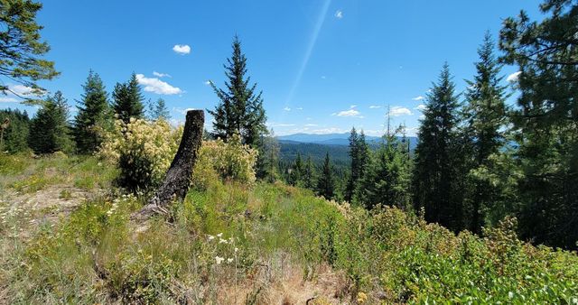 NKN Cosmos - Lots 23, 24, 27 Ln, Newport, WA 99156