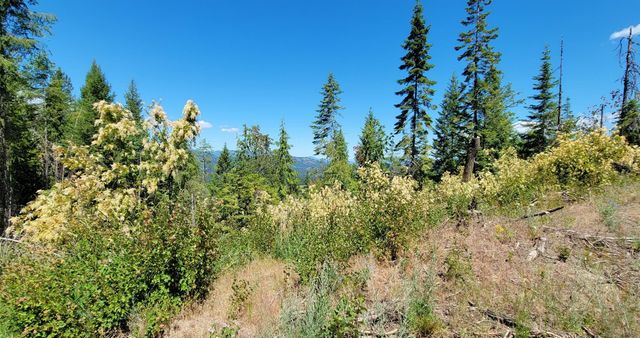 NKN Cosmos - Lots 23, 24, 27 Ln, Newport, WA 99156