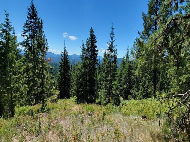 NKN Cosmos - Lots 23, 24, 27 Ln, Newport, WA 99156