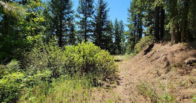 NKN Cosmos - Lots 23, 24, 27 Ln, Newport, WA 99156