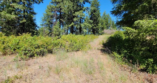 NKN Cosmos - Lots 23, 24, 27 Ln, Newport, WA 99156