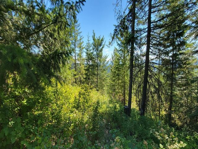 NKN Cosmos - Lots 23, 24, 27 Ln, Newport, WA 99156