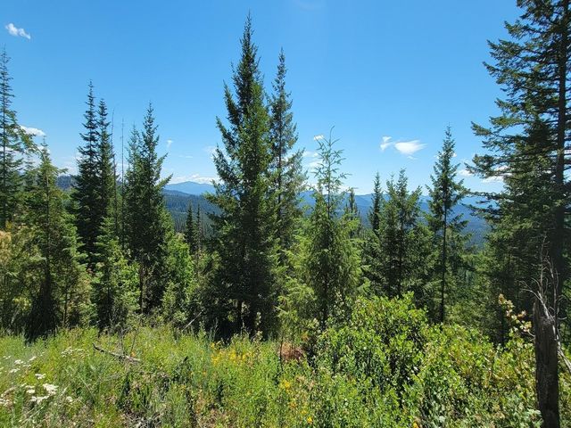 NKN Cosmos - Lots 23, 24, 27 Ln, Newport, WA 99156