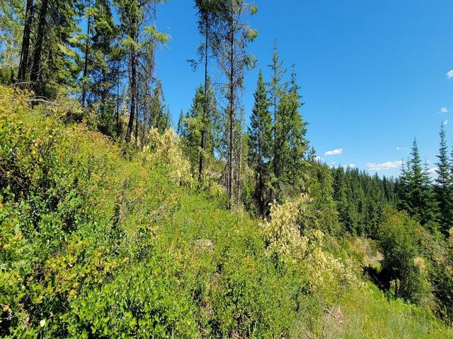 NKN Cosmos - Lots 23, 24, 27 Ln, Newport, WA 99156