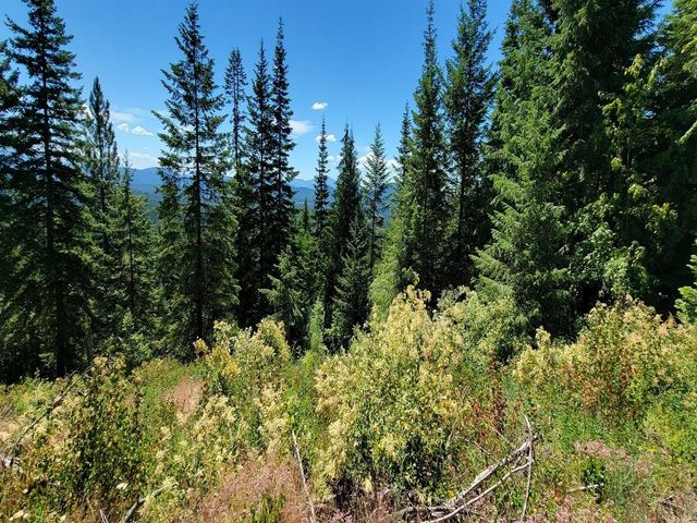 NKN Cosmos - Lots 23, 24, 27 Ln, Newport, WA 99156